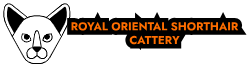 royaltyorientalcats.com